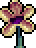 파일:라무라나 꽃.png